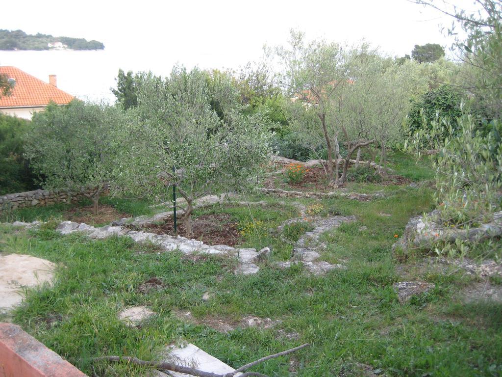 Apartman Lavanda كالي المظهر الخارجي الصورة