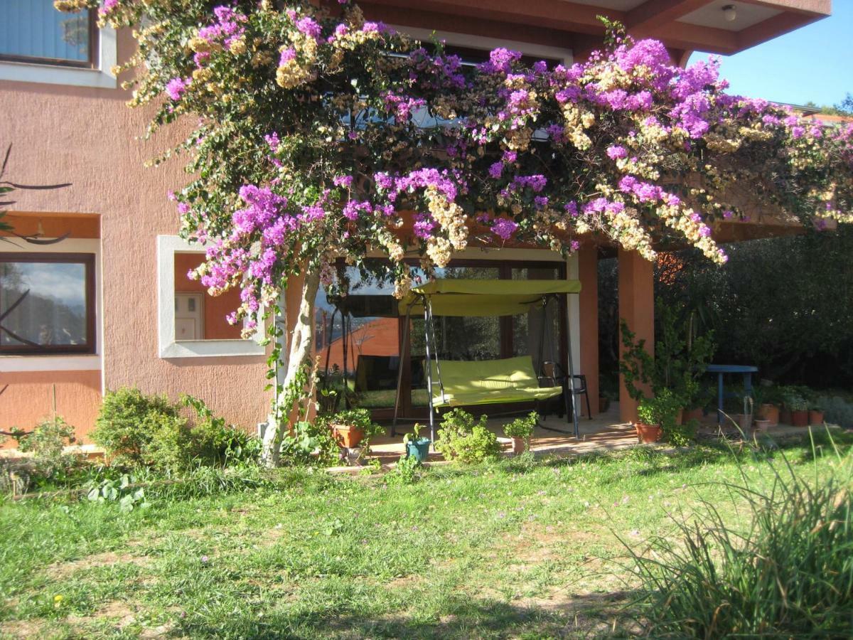 Apartman Lavanda كالي المظهر الخارجي الصورة